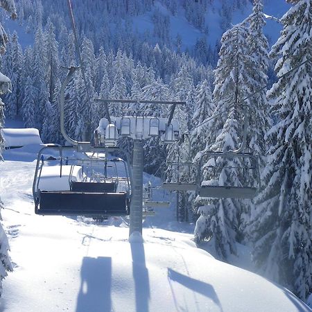 Haus Auni Metzgermeister Westendorf Bagian luar foto